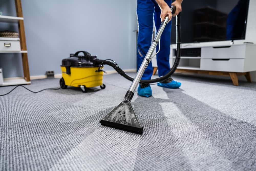 Abbotsford's Best Carpet Cleaning