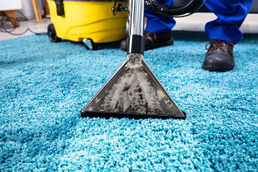 Carpet cleaning a blue carpet